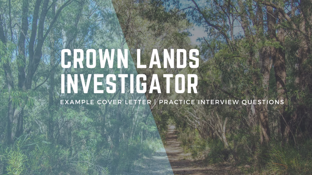 NSW Crown Lands Investigator