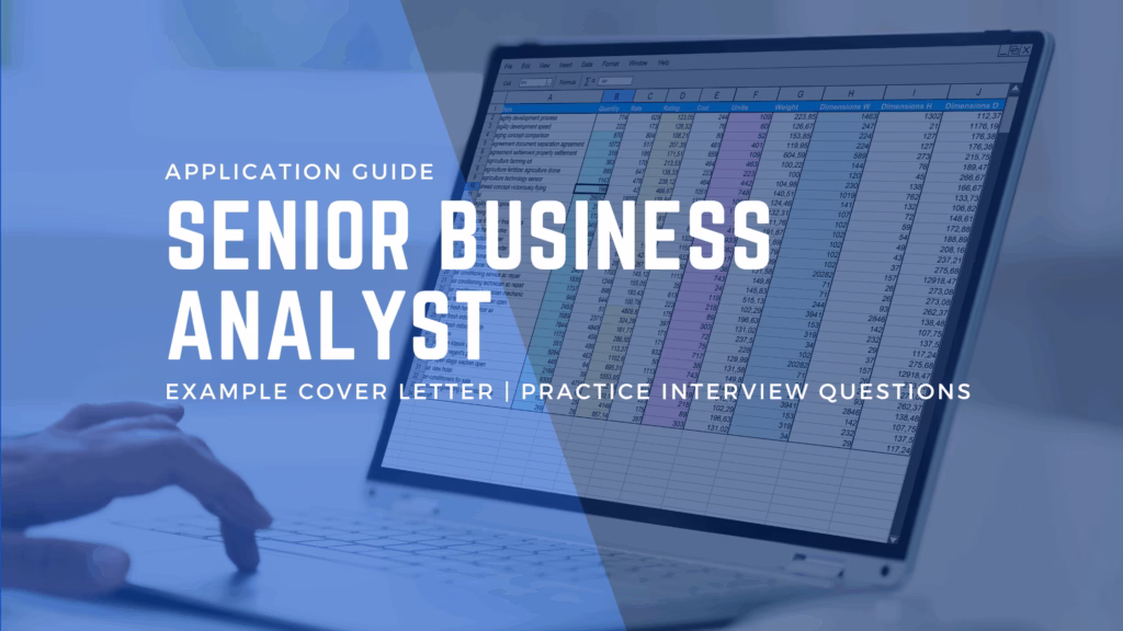 How to Apply For Government Senior Business Analyst in NSW