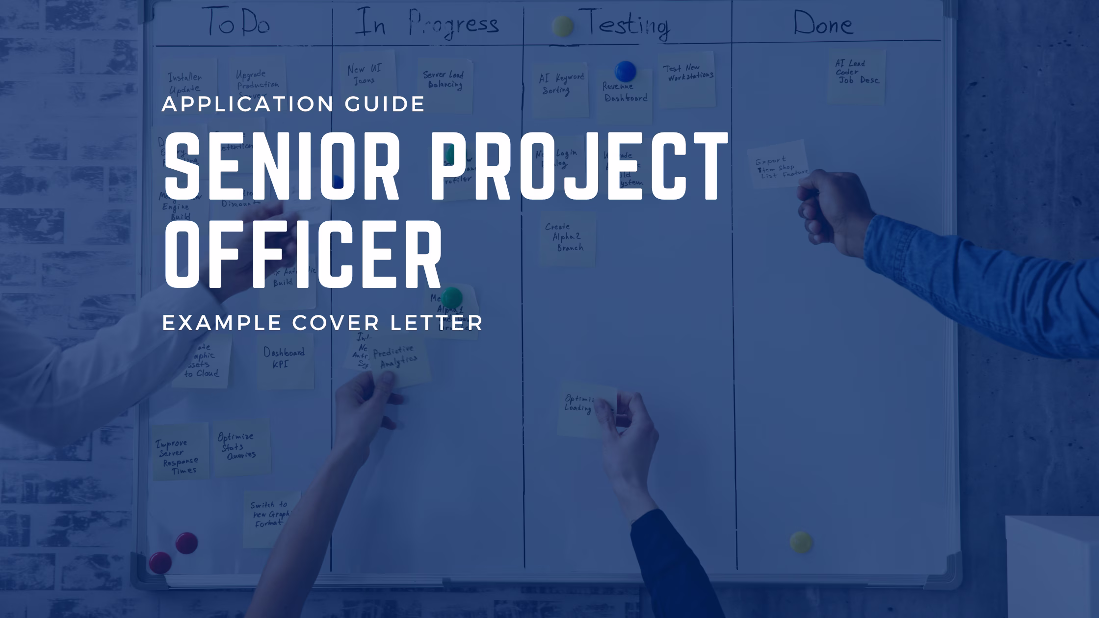 How to Win a Senior Project Officer Job in the Public Sector