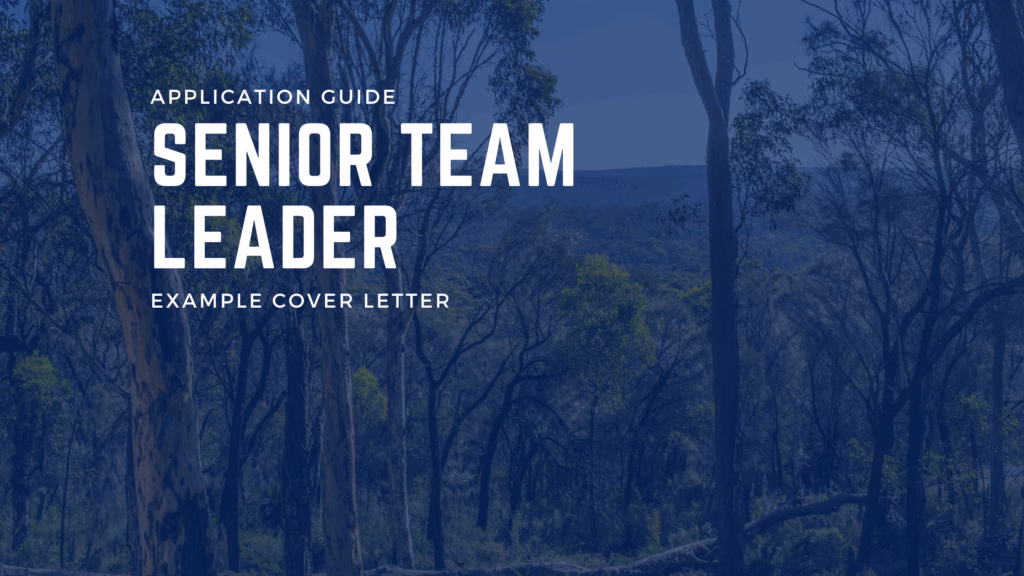 How To Apply For NSW Senior Team Leader Roles
