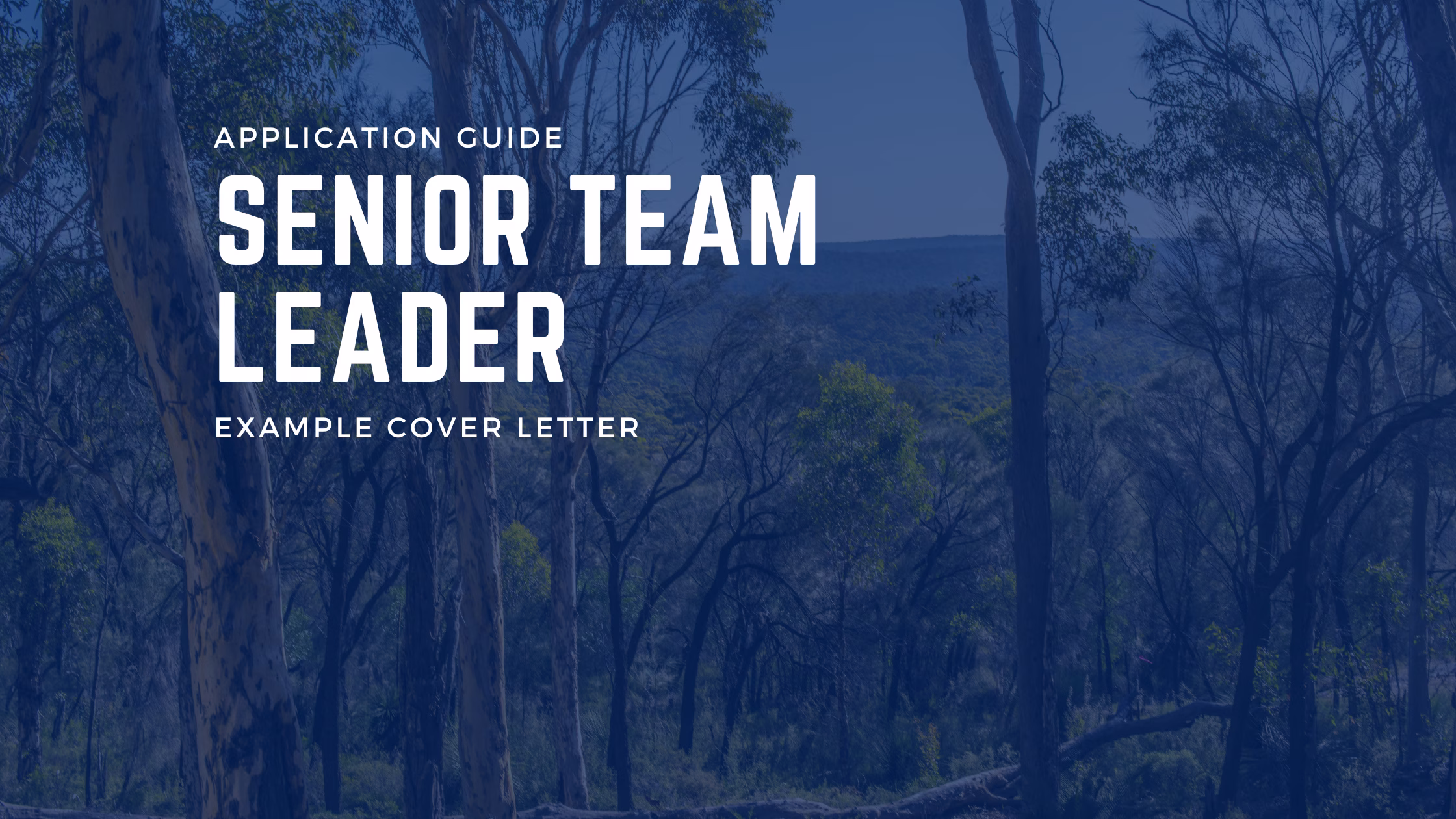 How to Apply for A Senior Team Leader Role At DCCEEW