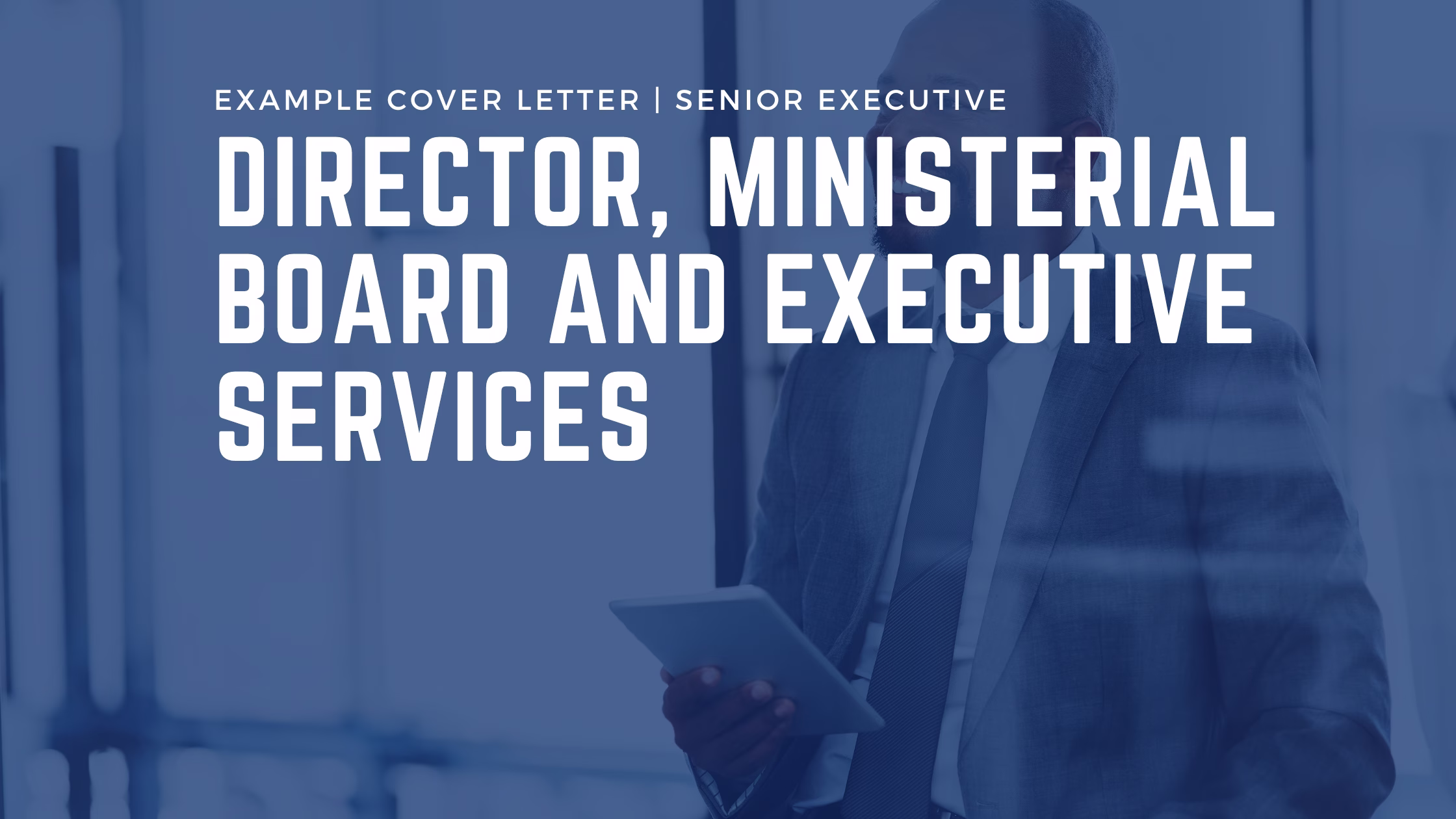 Example Application: Director, Ministerial, Board and Executive Services