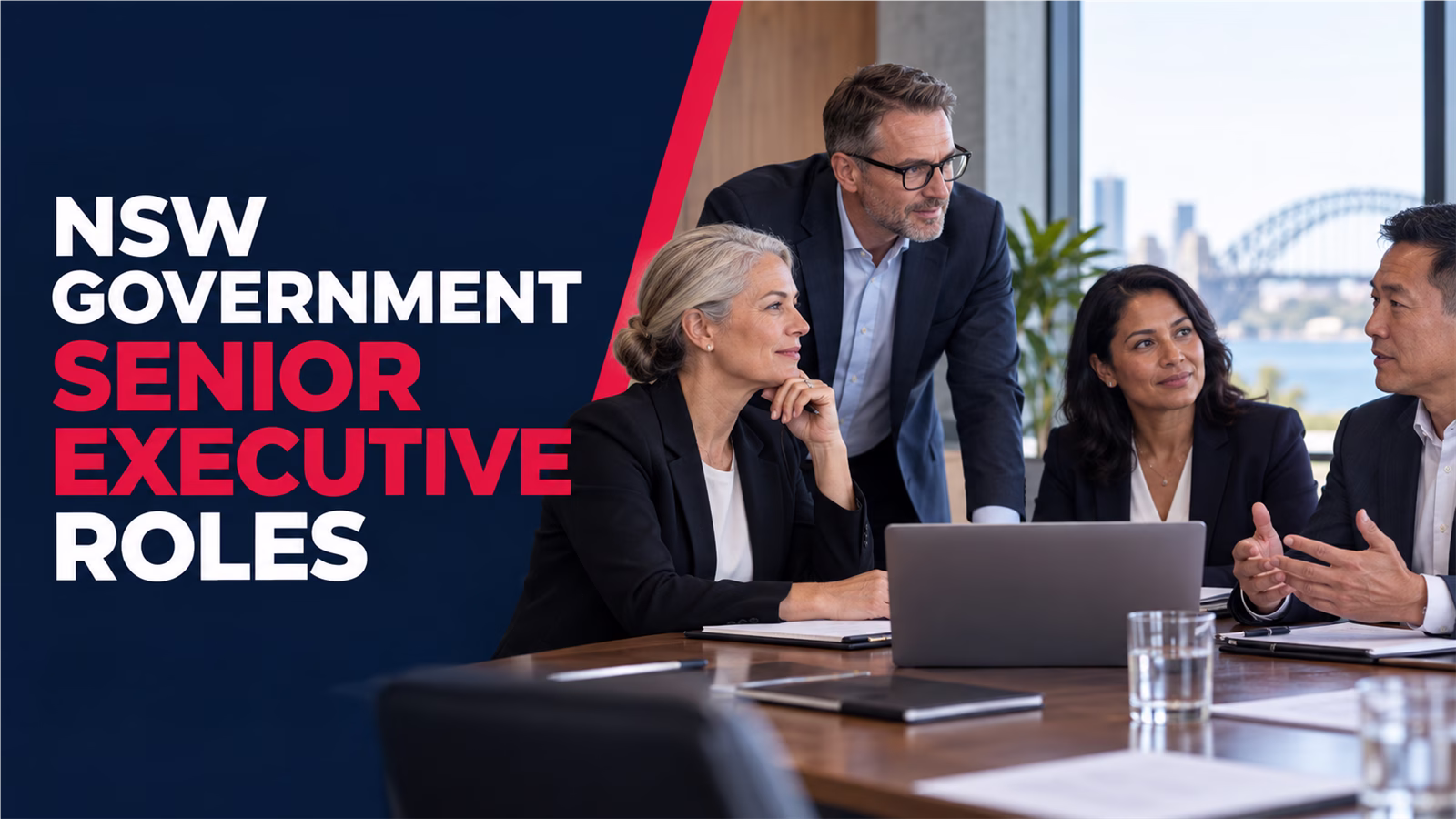 13 Current NSW Government Senior Executive and Organisational Leadership Roles